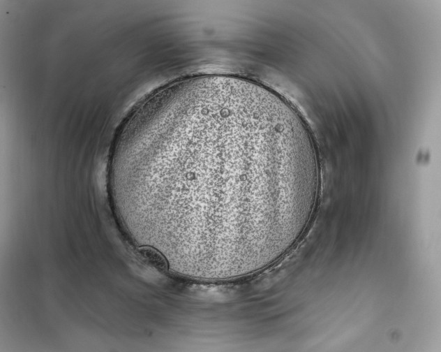 X0000102020297200808011430