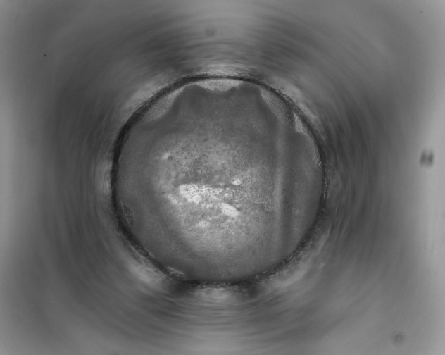 X0000102020299200808011430