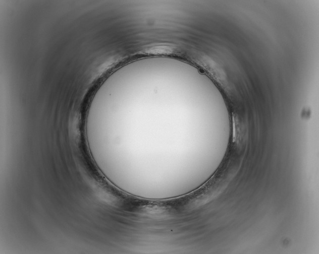 X0000102020300200808011430