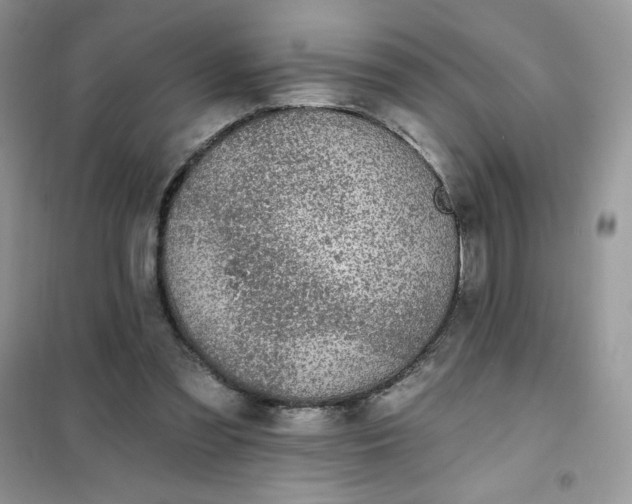 X0000102020301200808011430