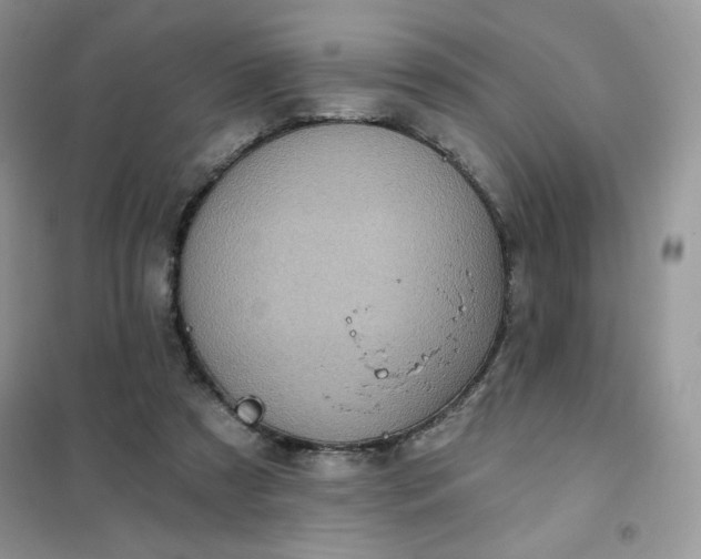 X0000102020305200808011430