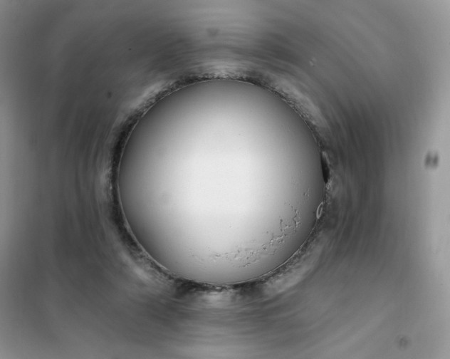 X0000102020306200808011430