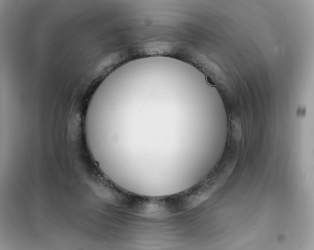X0000102020308200808011430