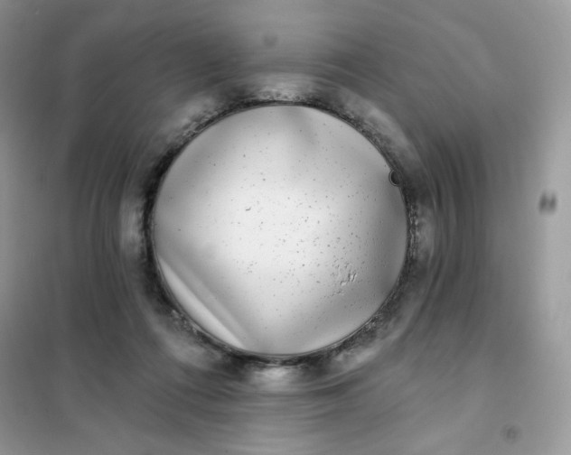 X0000102020312200808011430