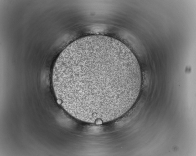 X0000102020313200808011430