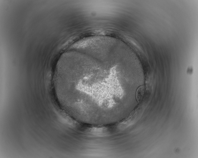 X0000102020314200808011430