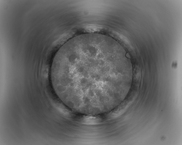 X0000102020315200808011430