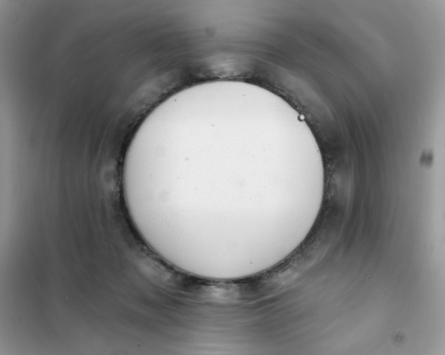 X0000102020317200808011430