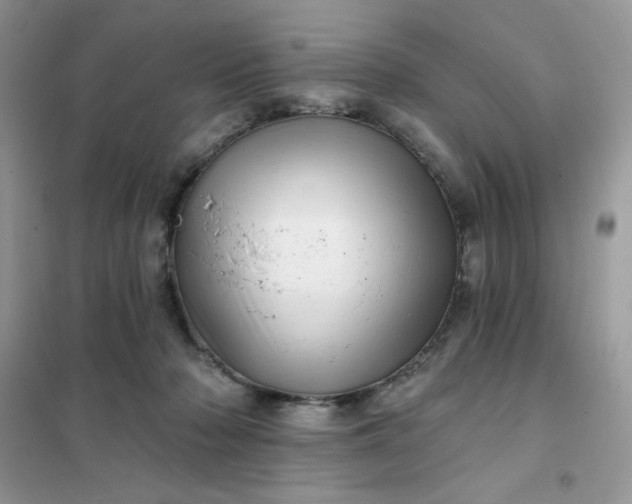 X0000102020318200808011430