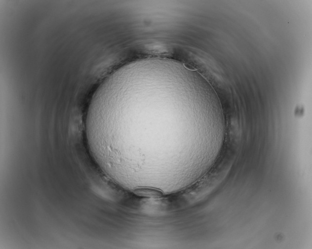 X0000102020320200808011430