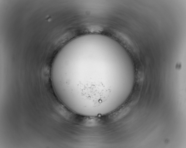 X0000102020321200808011430