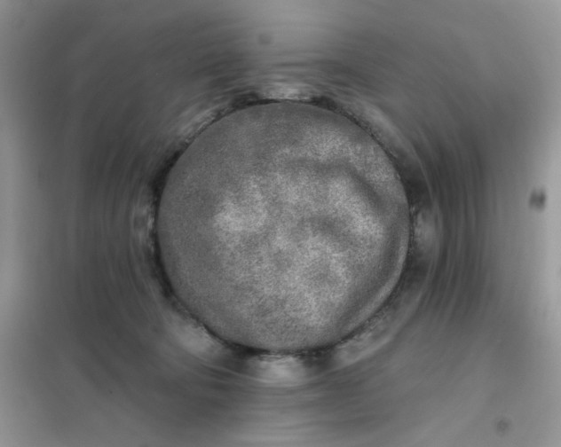 X0000102020322200808011430