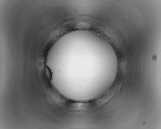 X0000102020323200808011430