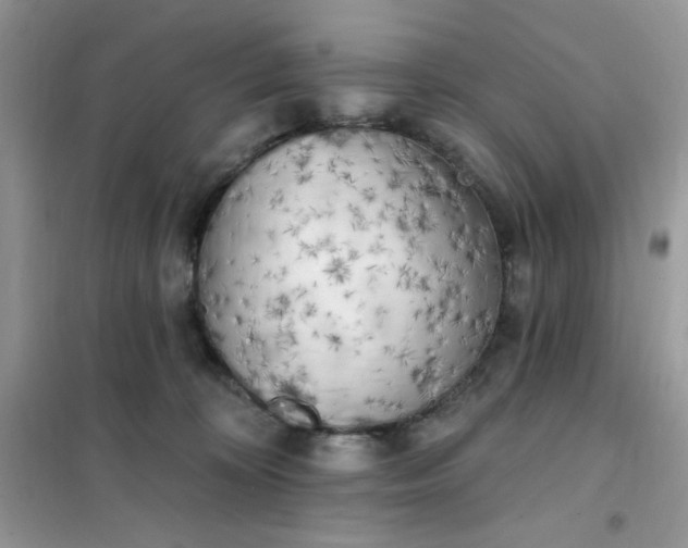 X0000102020324200808011430