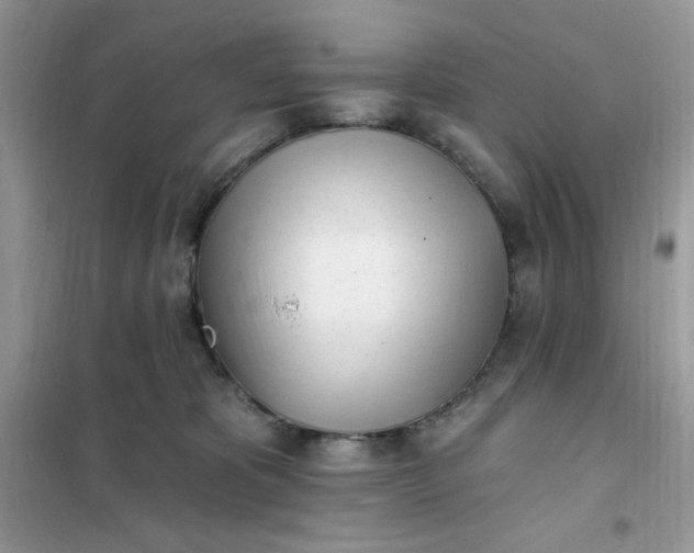 X0000102020325200808011430
