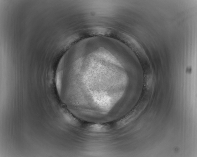X0000102020326200808011430