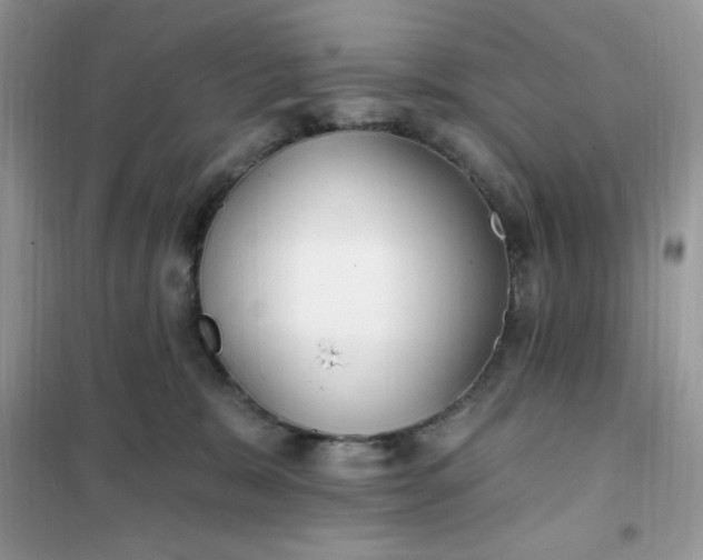 X0000102020327200808011430