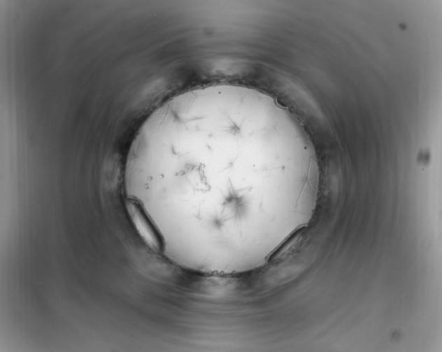 X0000102020328200808011430