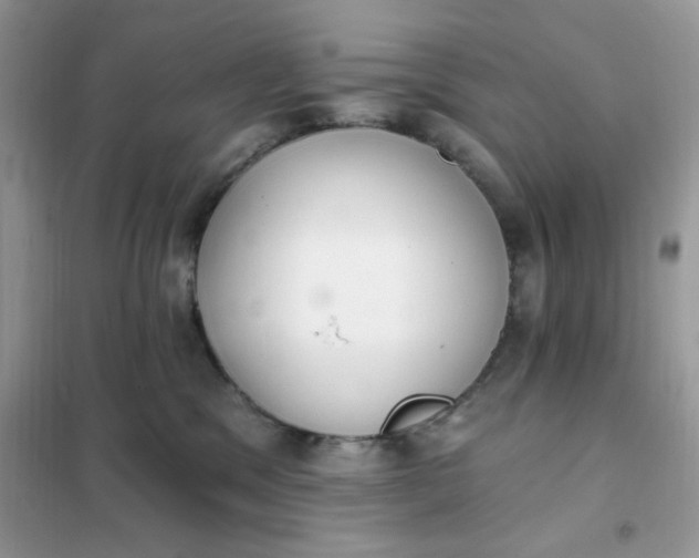 X0000102020329200808011430