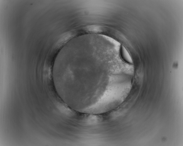 X0000102020330200808011430