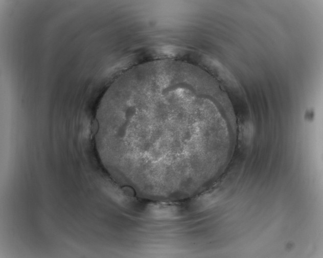 X0000102020331200808011430