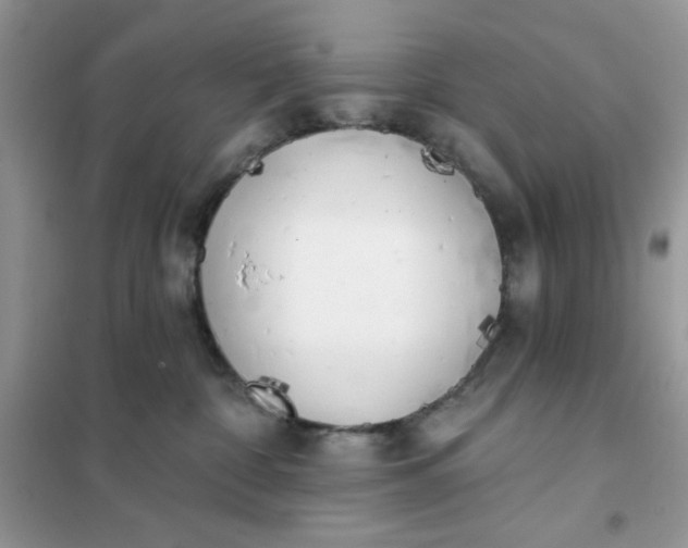 X0000102020332200808011430