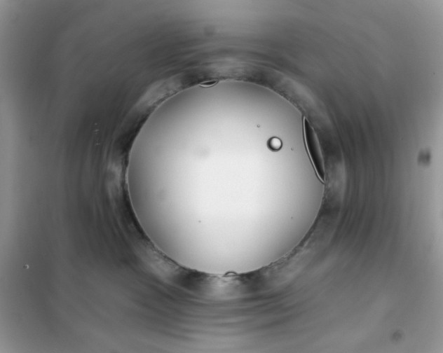 X0000102020333200808011430