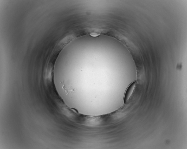 X0000102020334200808011430