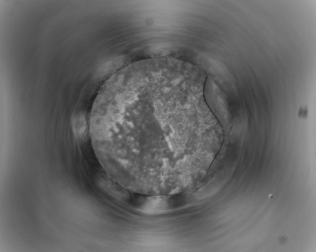 X0000102020335200808011429