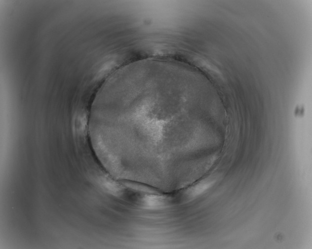X0000102020336200808011429