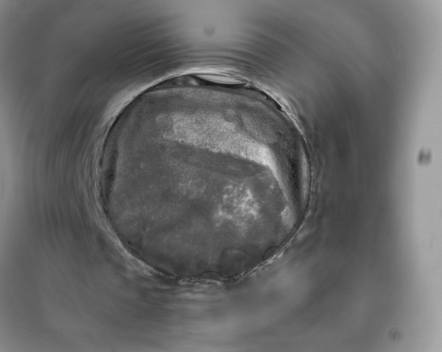 X0000102020337200808011429