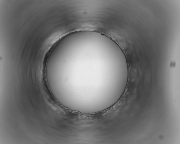 X0000102020338200808011429