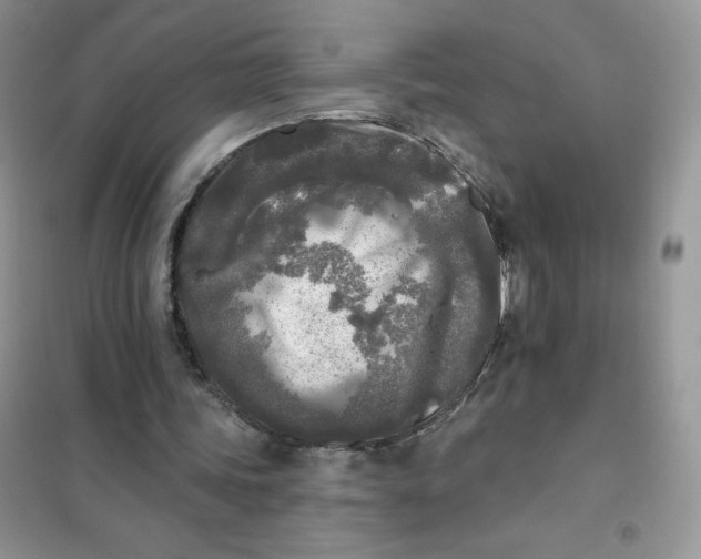 X0000102020339200808011429