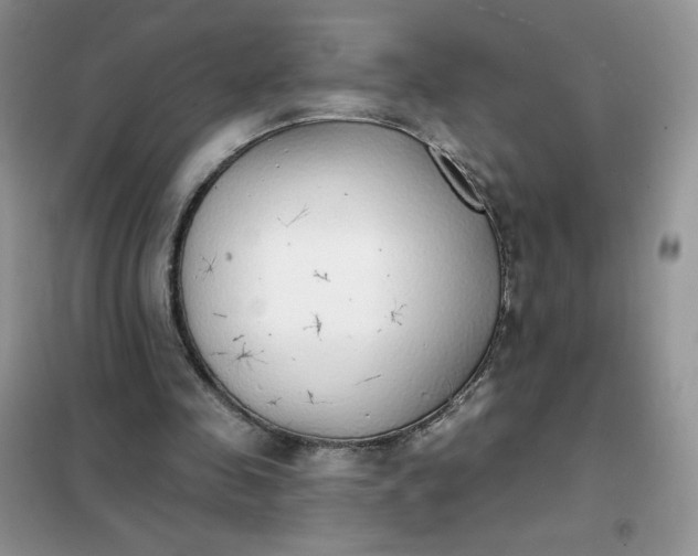 X0000102020341200808011429