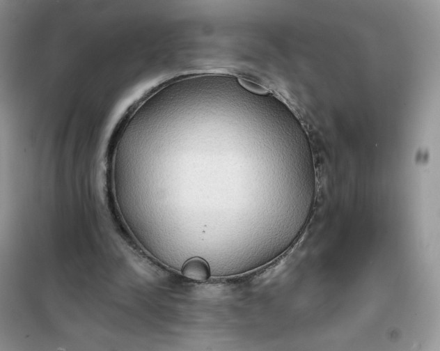 X0000102020342200808011429