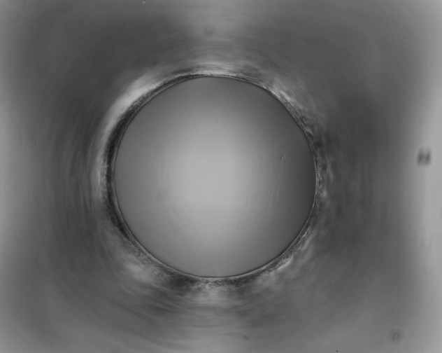 X0000102020343200808011429