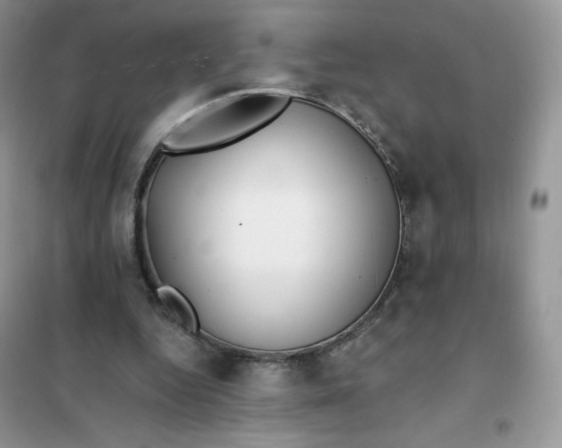 X0000102020344200808011429