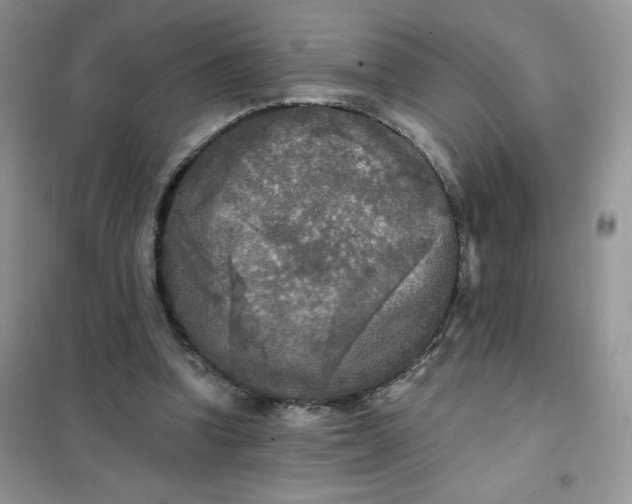 X0000102020346200808011429