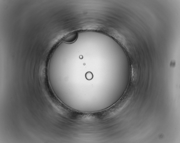X0000102020348200808011429