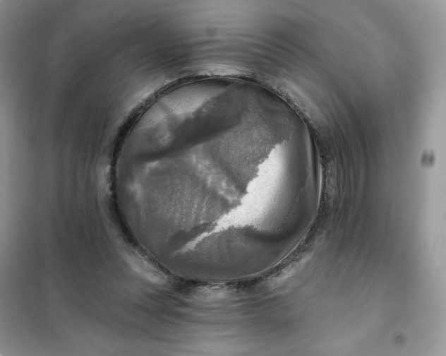 X0000102020351200808011429