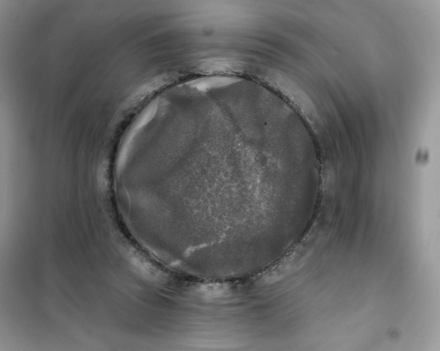 X0000102020353200808011429