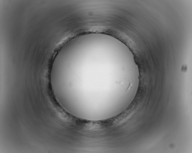 X0000102020354200808011429