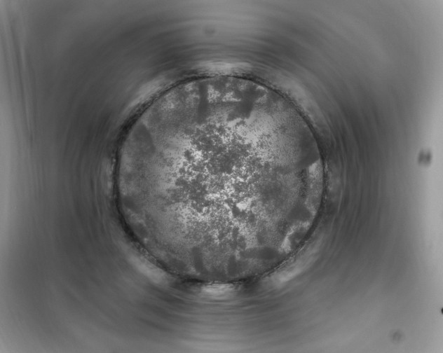 X0000102020357200808011429