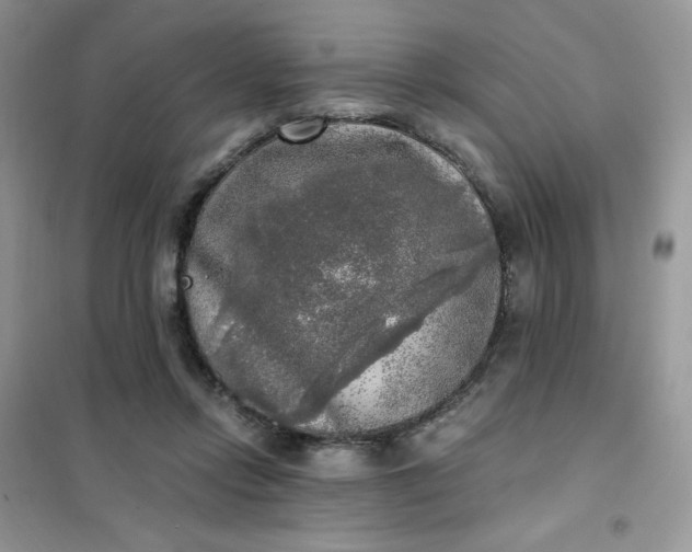 X0000102020358200808011429