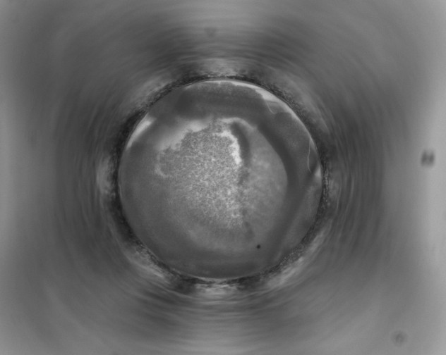 X0000102020359200808011429