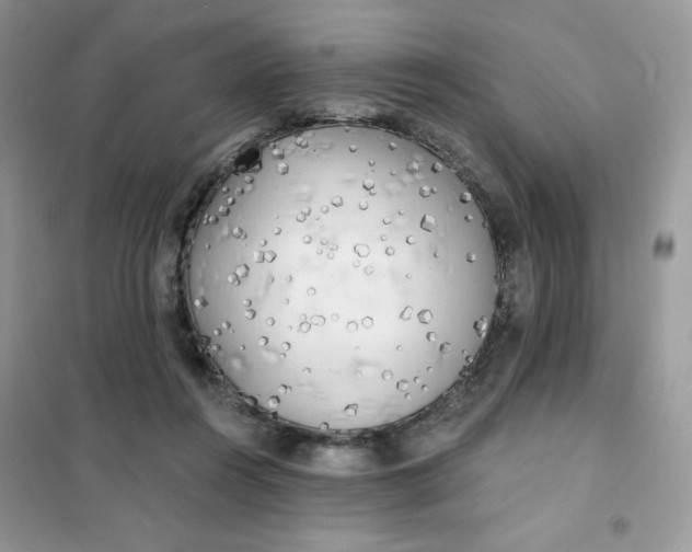 X0000102020360200808011429