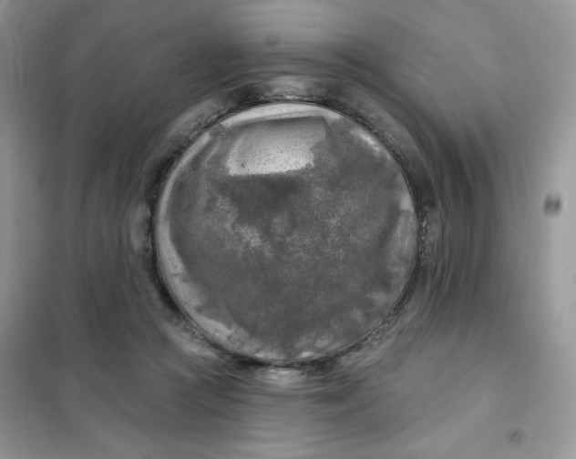 X0000102020361200808011429