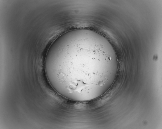 X0000102020362200808011429