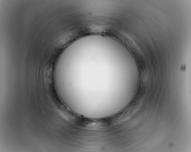 X0000102020364200808011429