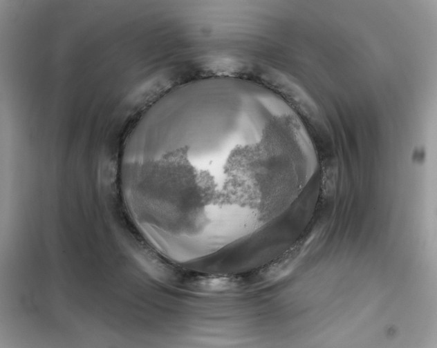 X0000102020365200808011429